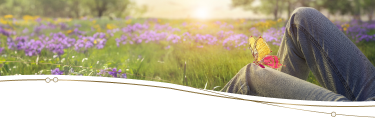 Photo image of close-up of an individual's legs laying in wildflower field with an engineered mechanical yellow and magenta butterfly perched on a knee